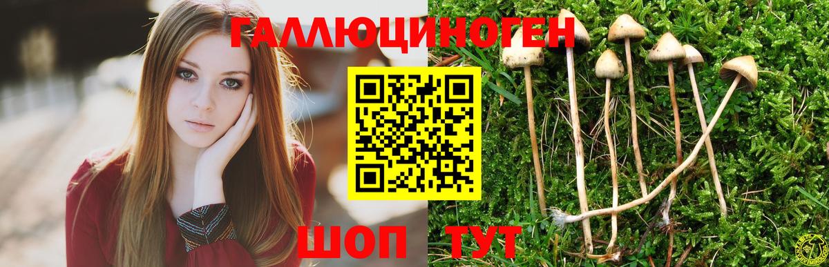 Псилоцибиновые грибы мухоморы Буйнакск